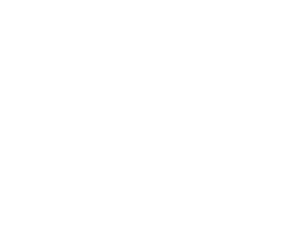 탐정법인일호